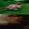 Black swingers trips