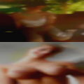 Single hermaphrodite Laredo